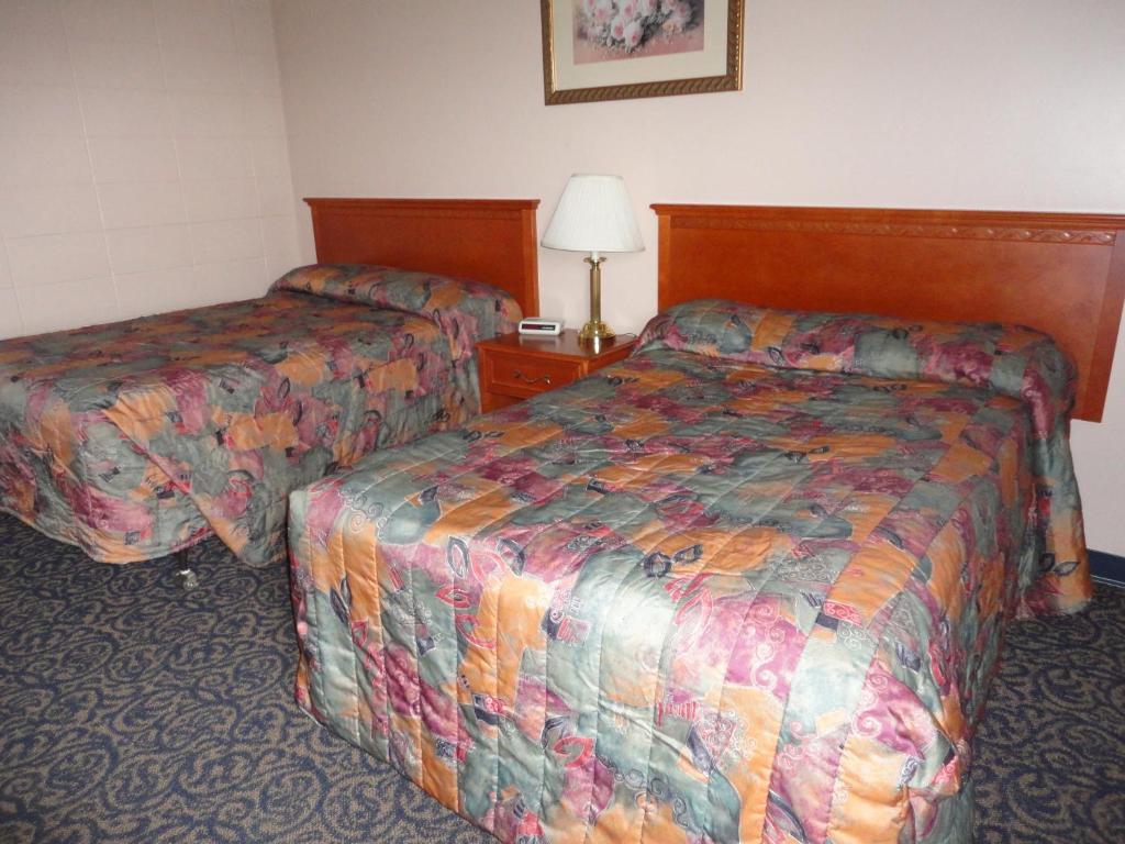 Matador Motel Drayton Valley Rom bilde